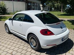 VW Beetle