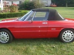 Alfa Romeo Spider