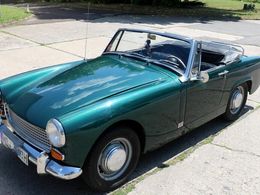 Austin Healey Sprite