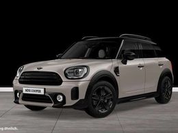 Mini Black Pepper Countryman