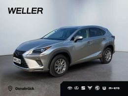 Lexus NX300h