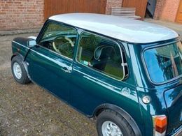 Mini 1300