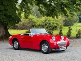 Austin Healey Frogeye