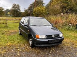 VW Polo