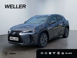 Lexus UX 300h