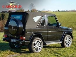 Mercedes G320