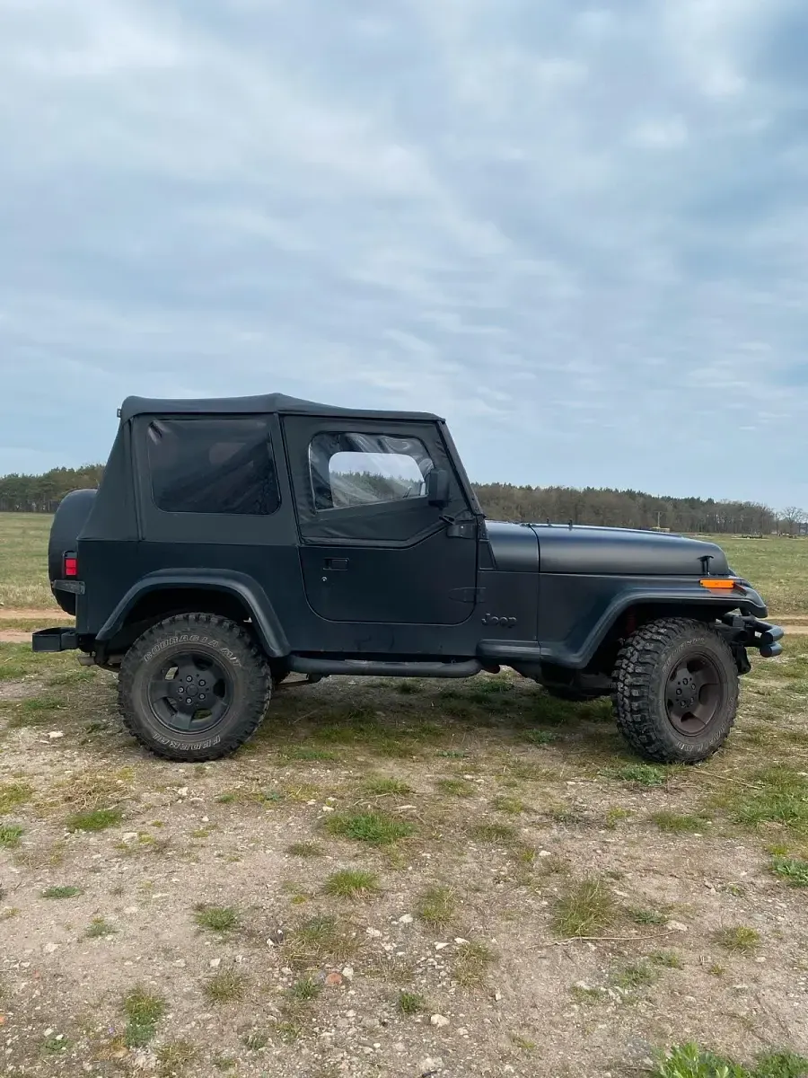 Gebraucht Jeep Wrangler 123 PS (90 kW) 1992 Schwarz SUV