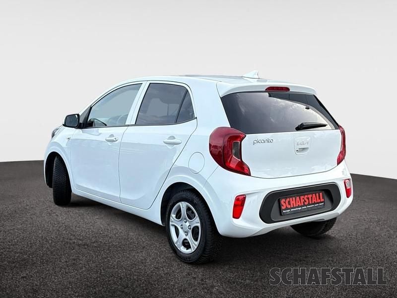 Gebraucht Kia Picanto Vision 67 PS (49 kW) 2024 Weiss ((ud) schneeweiss) Kleinwagen