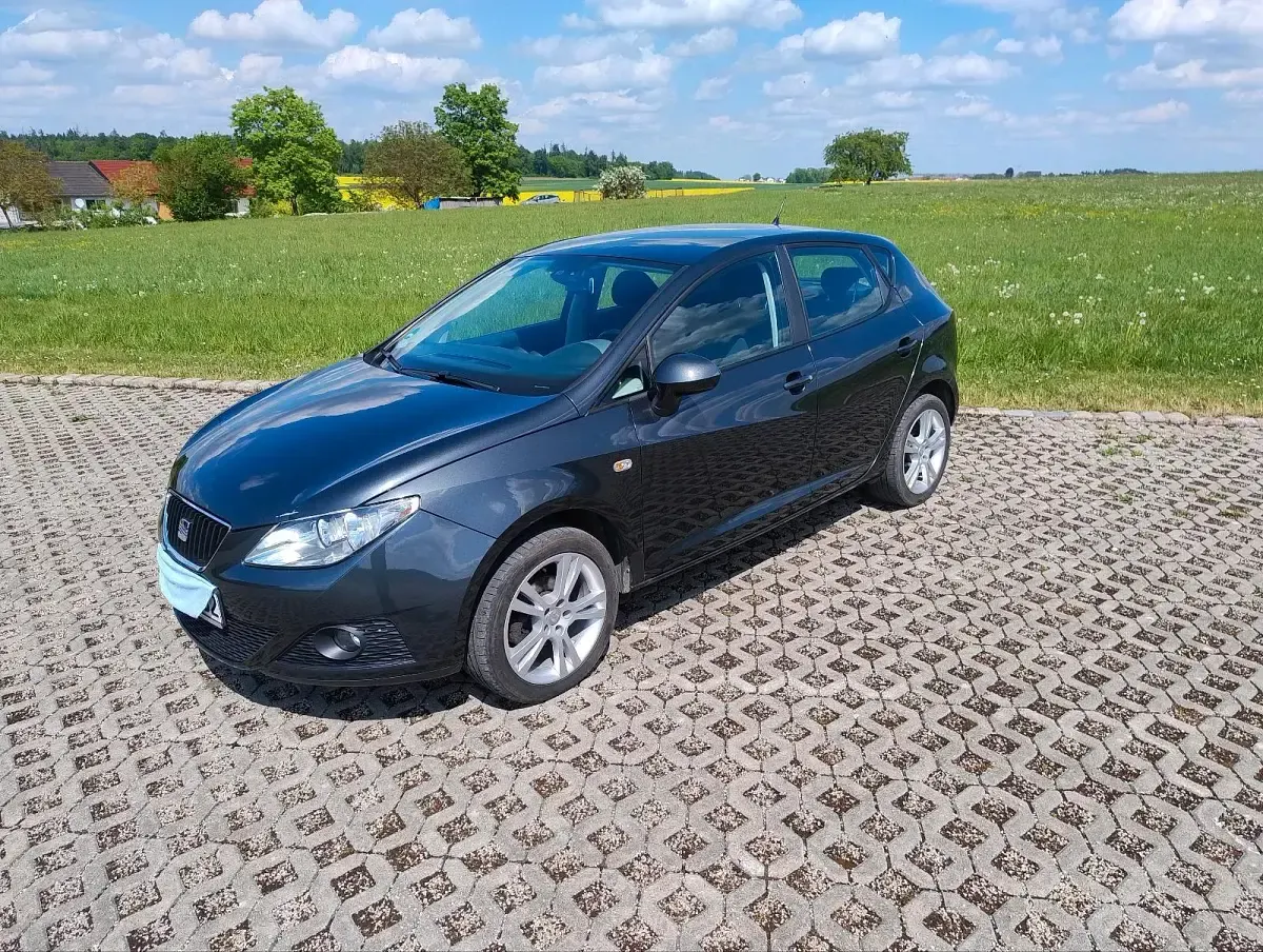Gebraucht Seat Ibiza Sport 86 PS (63 kW) 2010 Grau Kleinwagen
