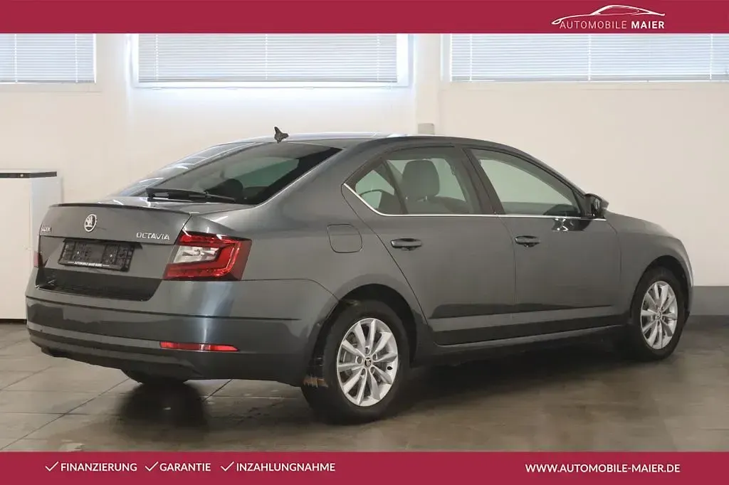 Gebraucht Skoda Octavia Style 179 PS (131 kW) 2017 Grau Limousine