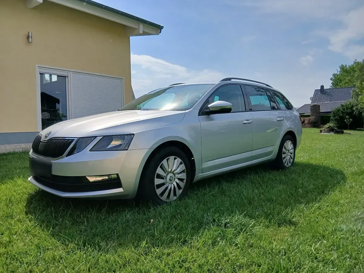 Gebraucht Skoda Octavia 116 PS (85 kW) 2019 Silber Kombi