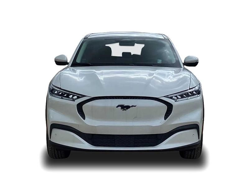 Gebraucht Ford Mustang Mach-E Basis 197 kW (269 PS) 2023 Weiss SUV