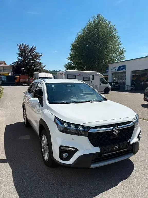 Gebraucht Suzuki SX4 S-Cross Comfort 129 PS (94 kW) 2025 Weiß SUV