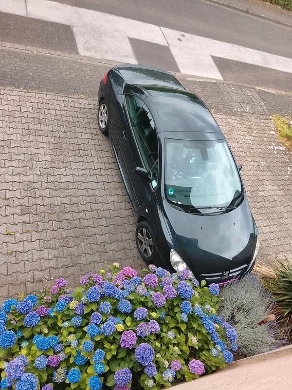 Schwarz Gebraucht 2005 Peugeot 307 CC Cabrio | 1.000 € (Superpreis) - Bild 1/1