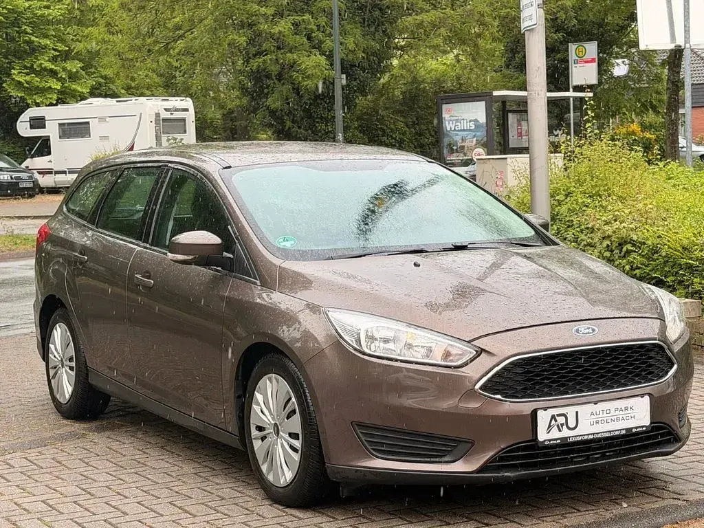 Usata Ford Focus Trend 125 CV (91 kW) 2016 Marrone Berlina