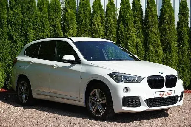 Gebraucht BMW X1 Sport Line 140 PS (102 kW) 2019 Weiß SUV