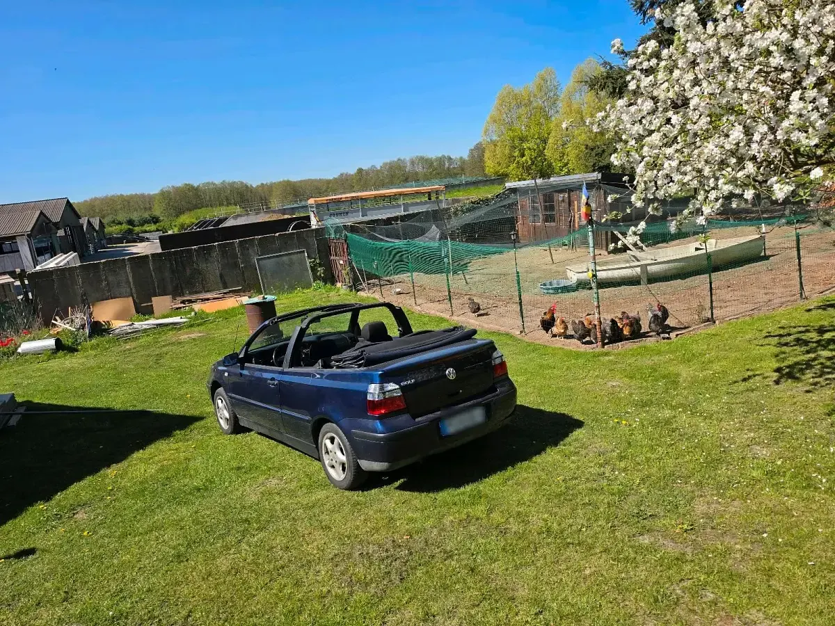 Gebraucht VW Golf Trendline 101 PS (74 kW) 1999 Blau Cabrio