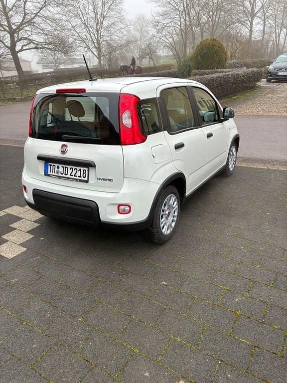 Gebraucht Fiat Panda 69 PS (50 kW) 2023 Weiß Kleinwagen
