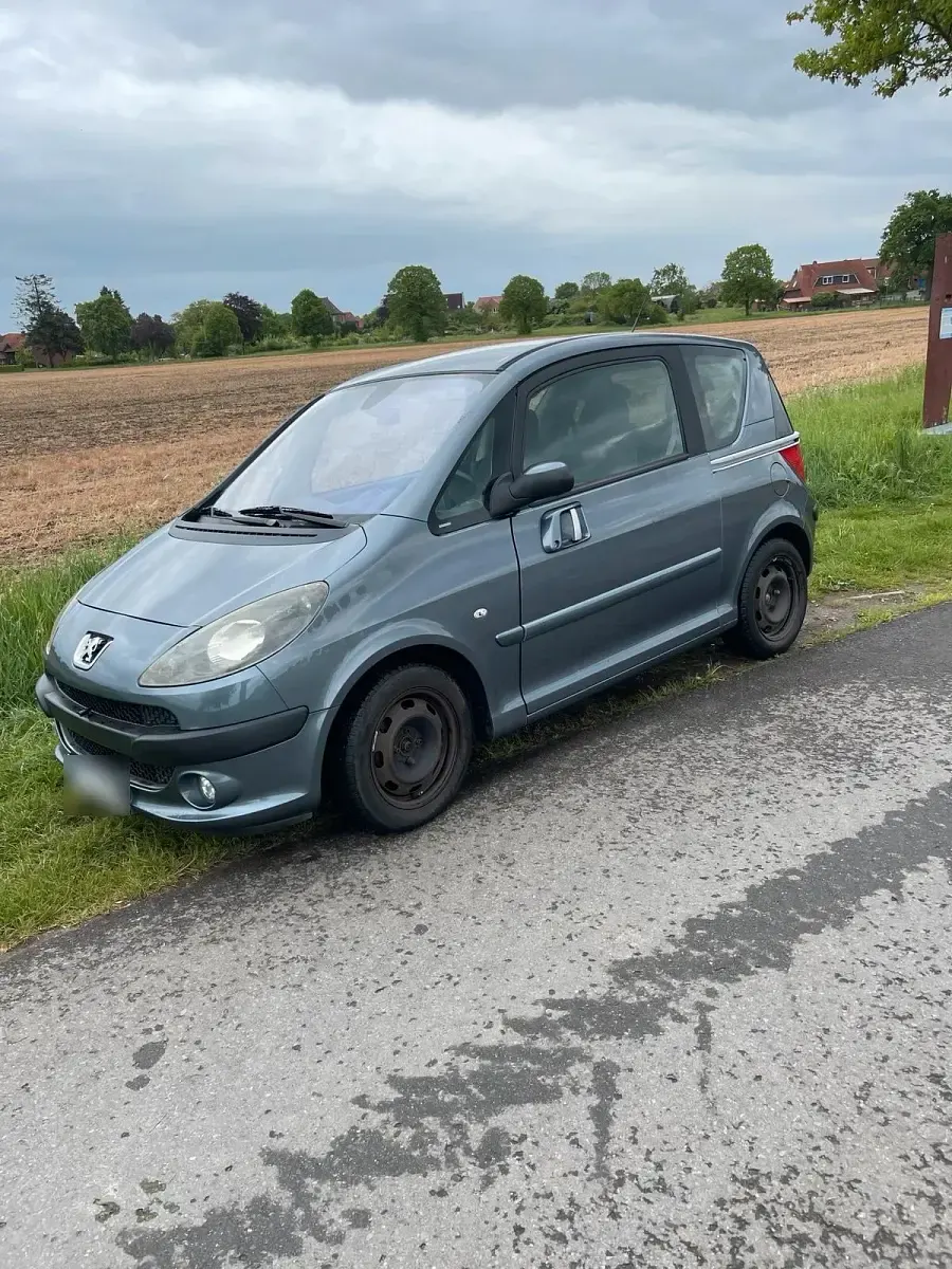 Gebraucht Peugeot 1007 84 PS (61 kW) 2006 Grau Van / Kleinbus