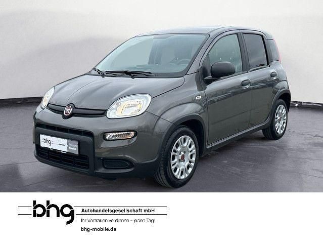 Gebraucht Fiat Panda 69 PS (50 kW) 2023 Grau Kleinwagen