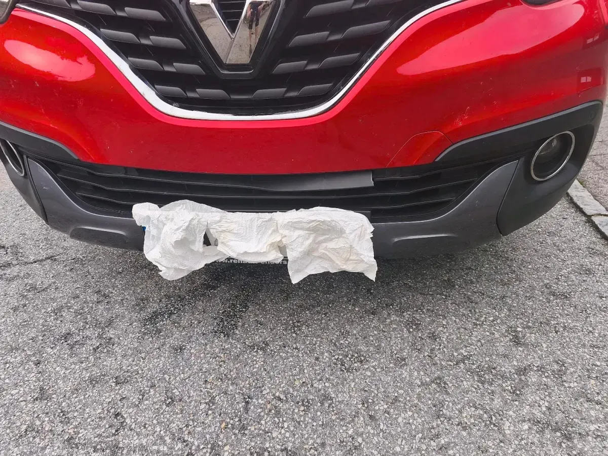 Gebraucht Renault Kadjar Bose Edition 131 PS (96 kW) 2019 Rot SUV