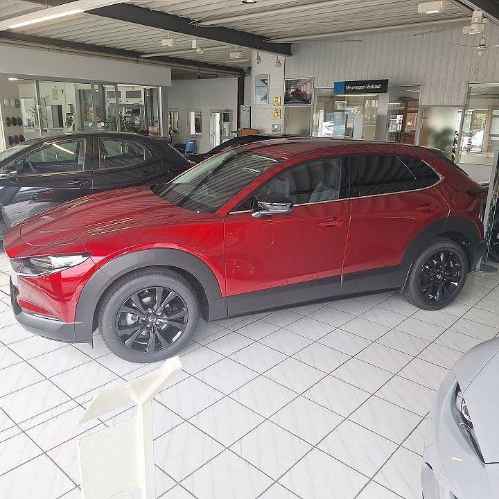 Gebraucht Mazda CX-30 Homura-Line 140 PS (102 kW) 2025 SUV