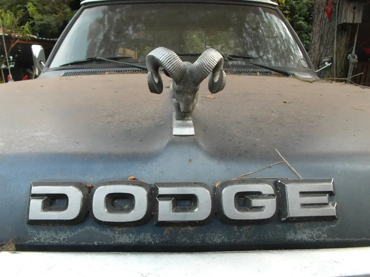 Gebraucht Dodge Ram 250 PS (183 kW) 1986 Weiß Pickup