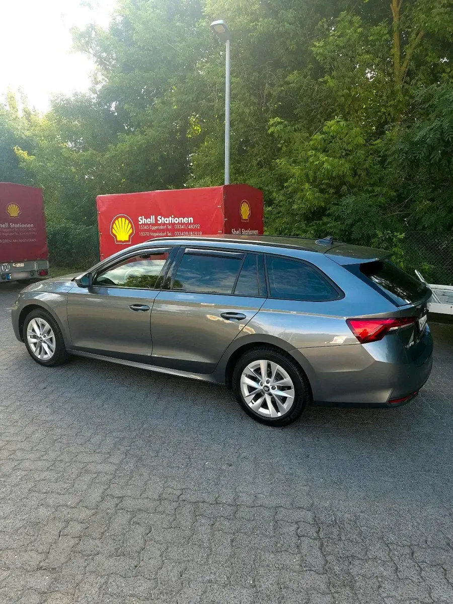 Gebraucht Skoda Octavia 116 PS (85 kW) 2025 Grau Kombi