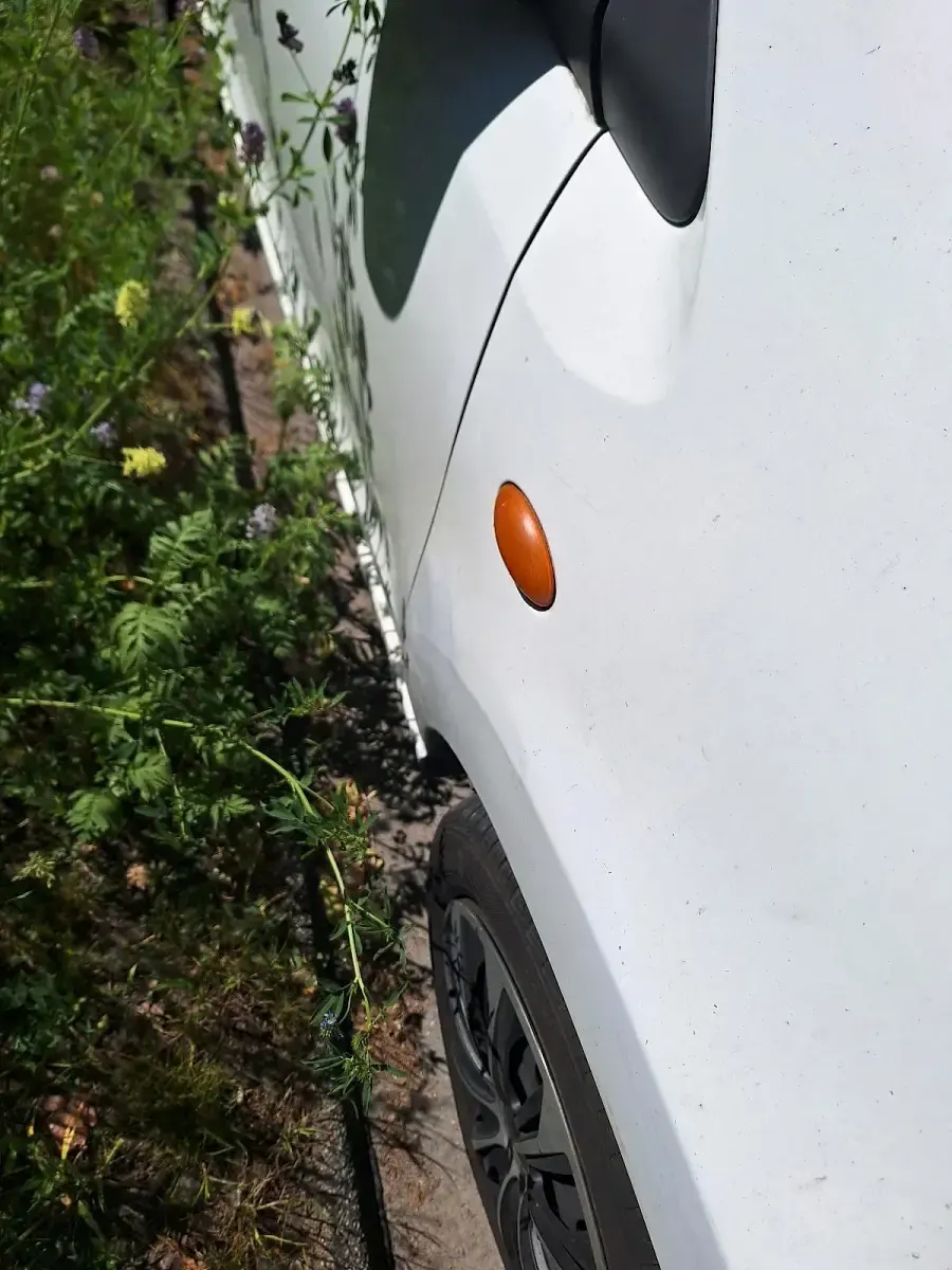 Gebraucht Suzuki Alto 70 PS (51 kW) 2009 Weiß Kleinwagen