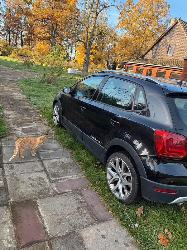 Używany VW Polo Cross 90 KM (66 kW) 2016 Czarny Hatchback