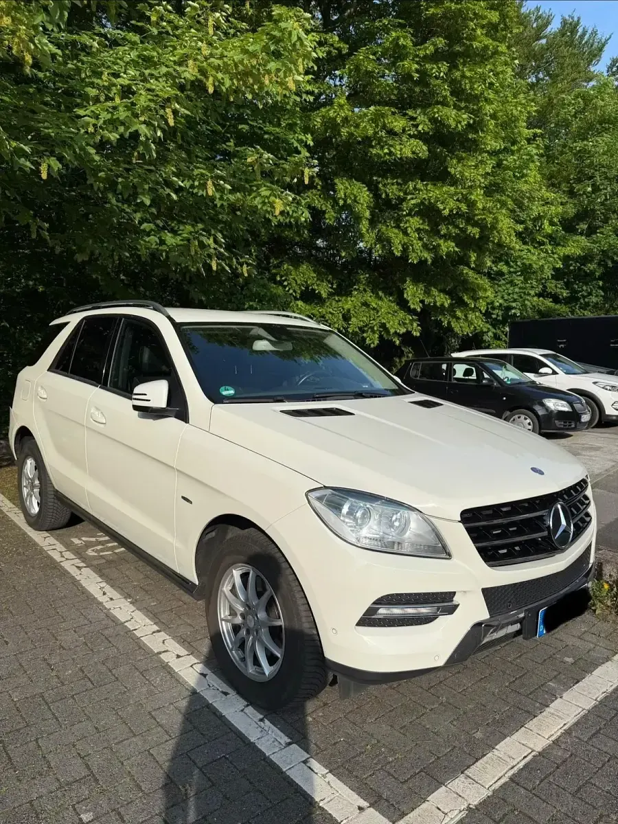 Gebraucht Mercedes ML250 204 PS (150 kW) 2012 Weiß SUV