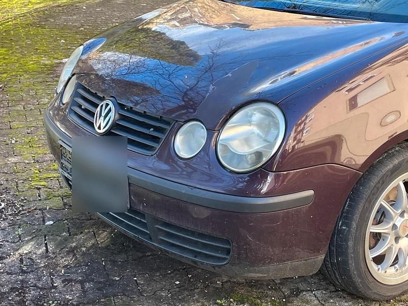Gebraucht VW Polo 54 PS (39 kW) 2003 Violet Kleinwagen