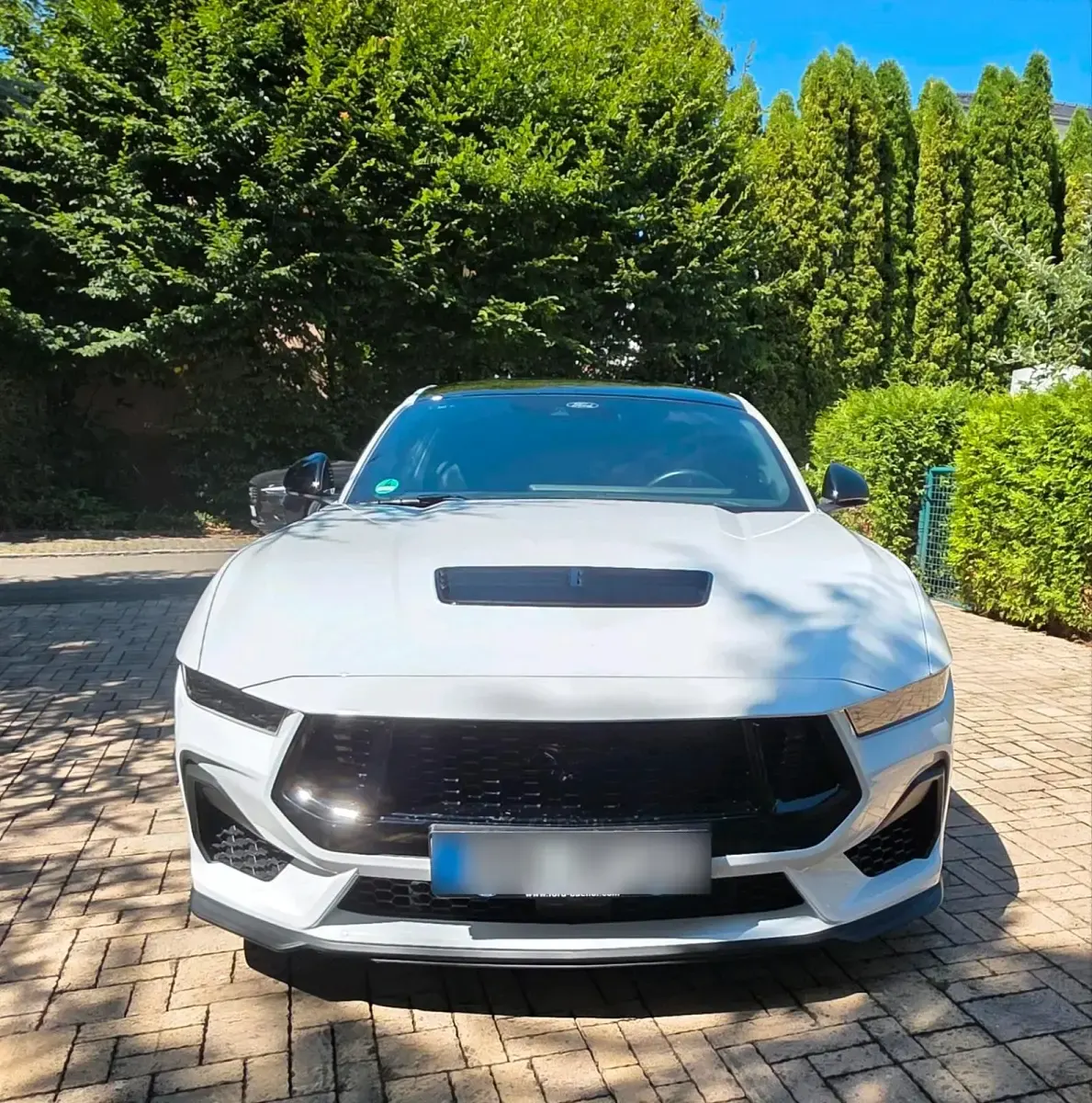 Gebraucht Ford Mustang GT 446 PS (328 kW) 2025 Weiß Coupé