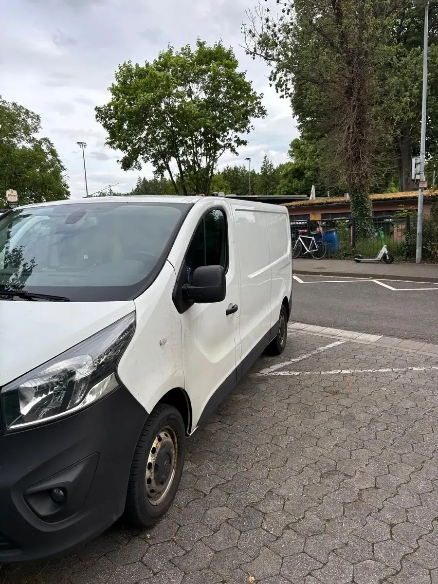 Gebraucht Opel Vivaro 120 PS (88 kW) 2019 Weiß Van / Kleinbus