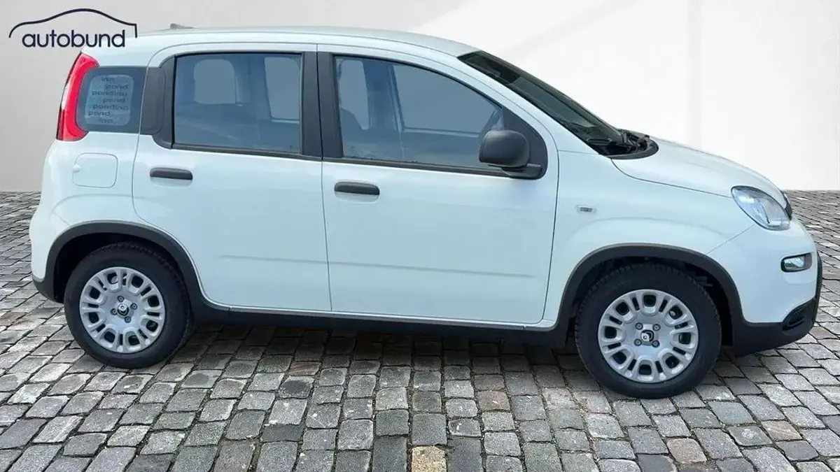 Usata Fiat Panda 71 CV (52 kW) 2024 Bianco Utilitaria