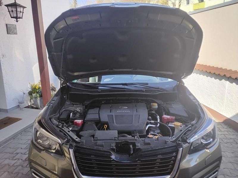 Gebraucht Subaru Forester Trend 150 PS (110 kW) 2020 Grün SUV