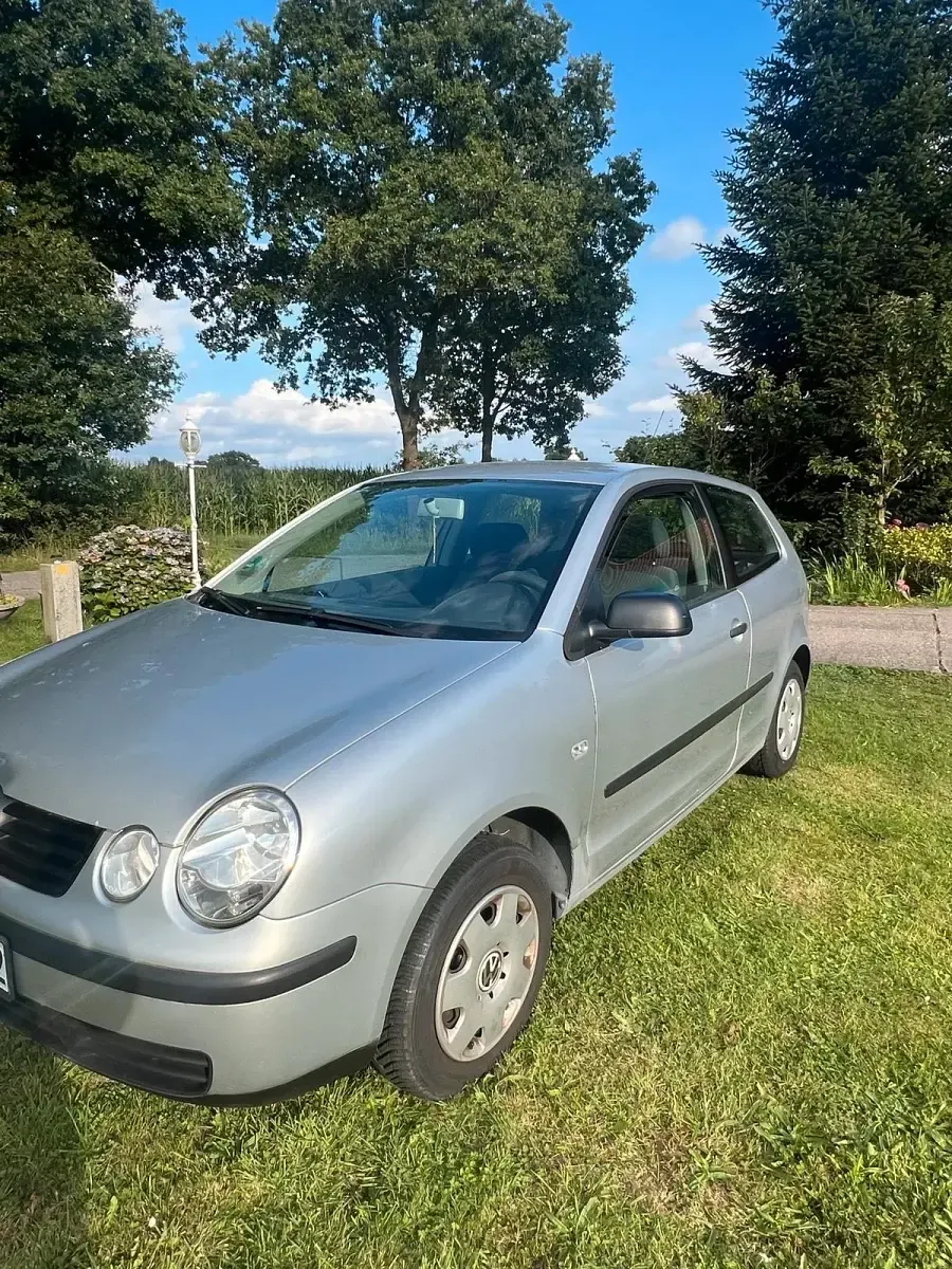 Gebraucht VW Polo 54 PS (39 kW) 2003 Grau Kleinwagen