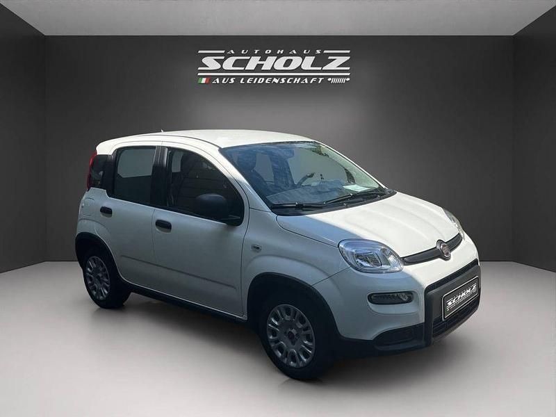 Gebraucht Fiat Panda 71 PS (52 kW) 2024 Weiß Kleinwagen