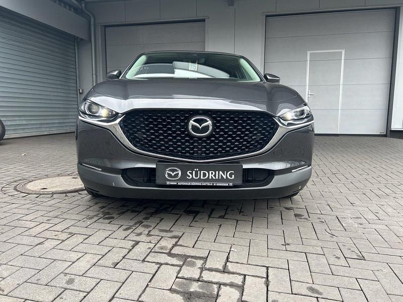 Gebraucht Mazda CX-30 Selection 122 PS (89 kW) 2019 SUV