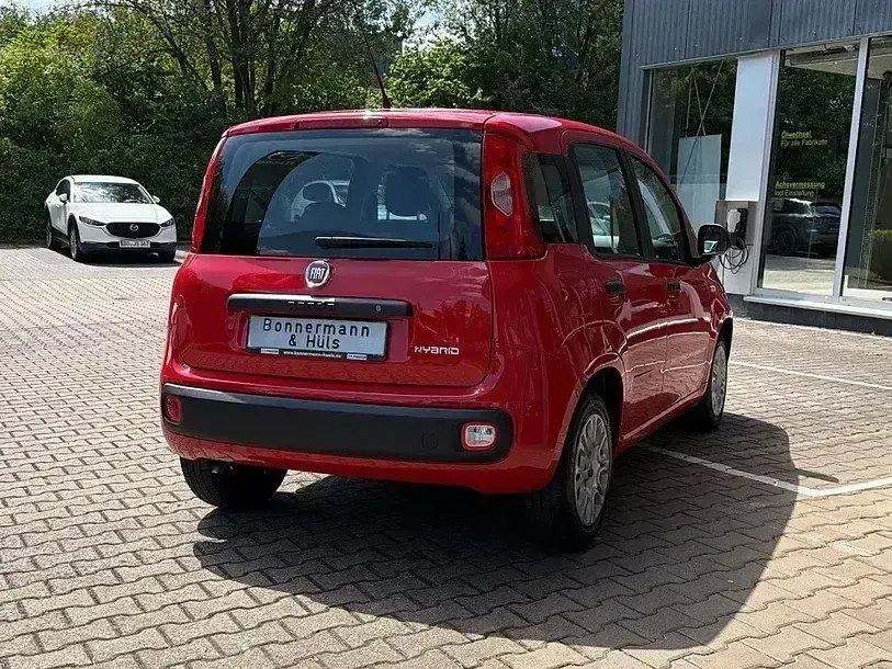 Gebraucht Fiat Panda 69 PS (50 kW) 2022 Colore esterno (bartolini rot) Kleinwagen