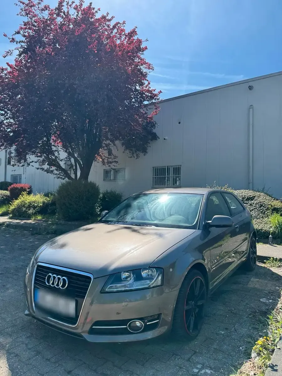 Usata Audi A3 125 CV (91 kW) 2012 Marrone Utilitaria
