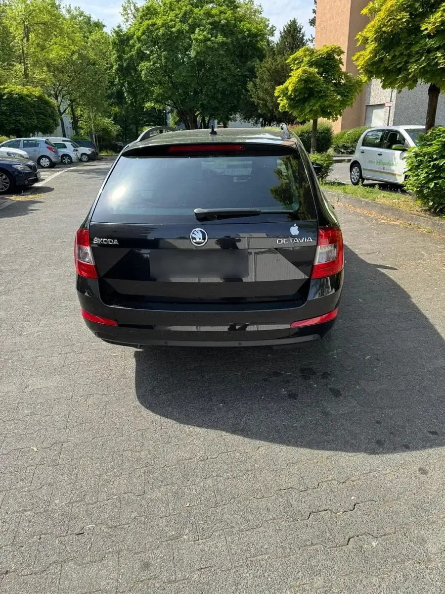 Gebraucht Skoda Octavia 105 PS (77 kW) 2016 Schwarz Kombi