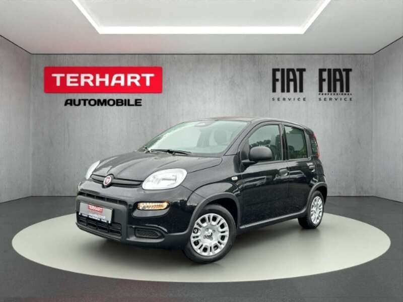 Colore esterno (cinema schwarz Neu 2024 Fiat Panda Kleinwagen | 15.987 € - Bild 1/4
