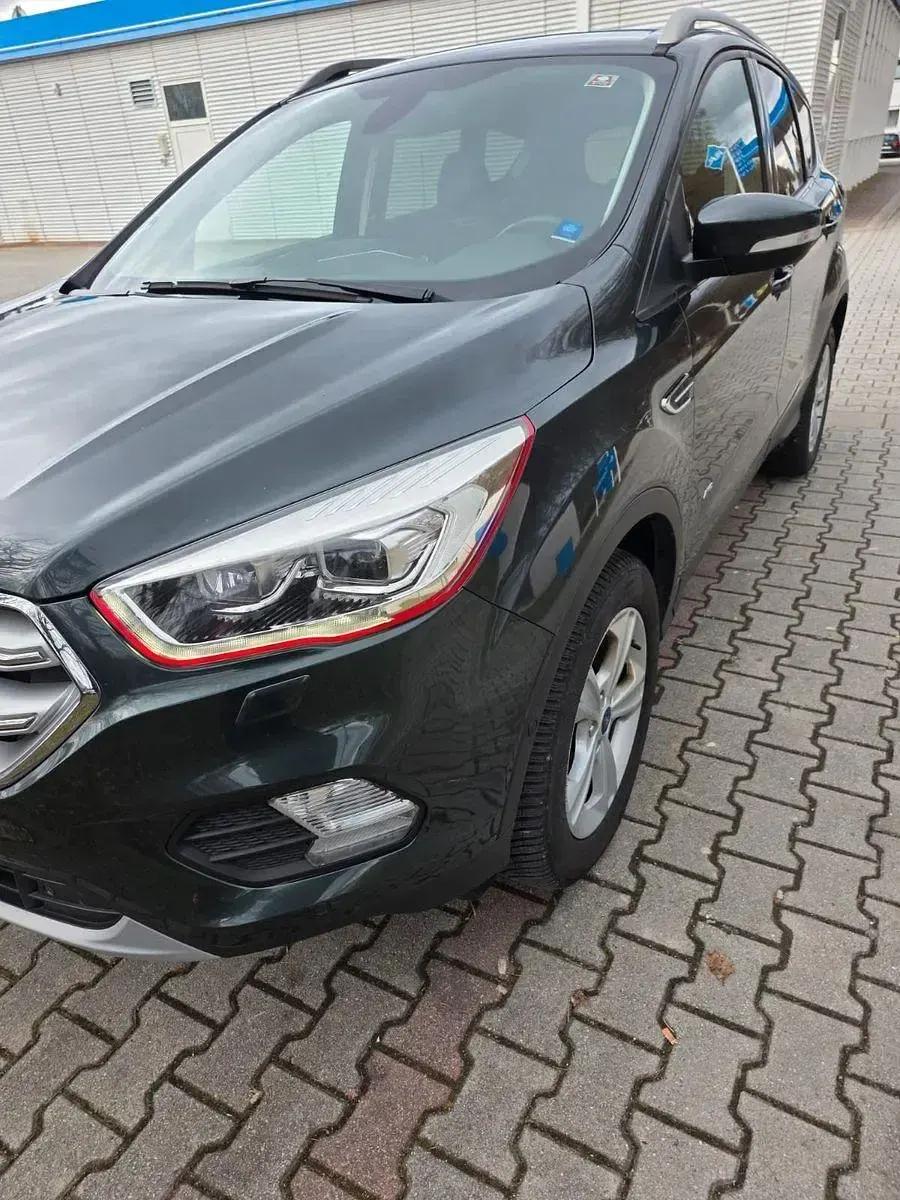 Gebraucht Ford Kuga 179 PS (131 kW) 2018 Grün SUV