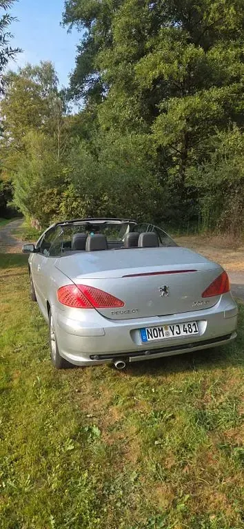 Gebraucht Peugeot 307 CC 109 PS (80 kW) 2006 Silber Cabrio