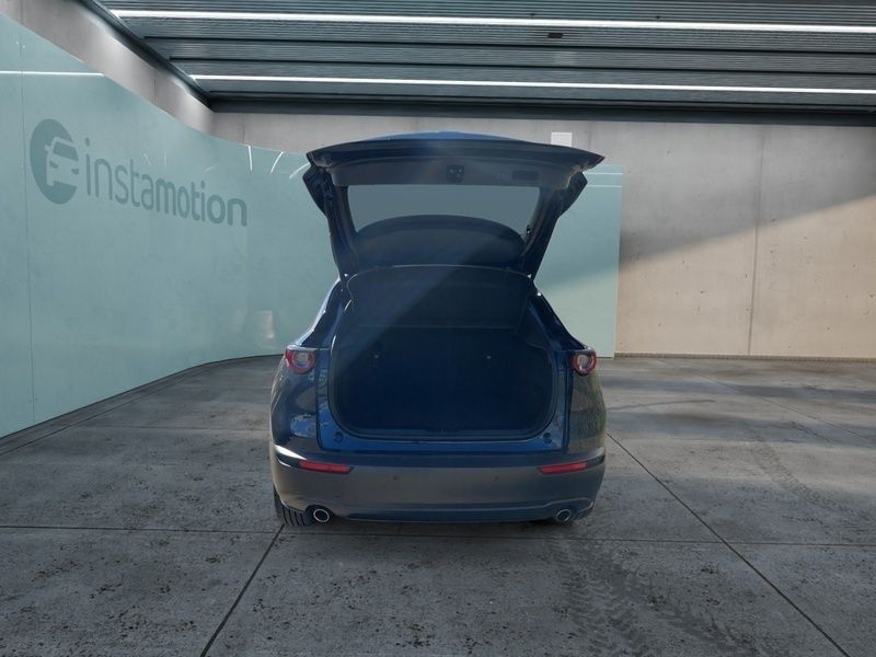 Gebraucht Mazda CX-30 Selection 150 PS (110 kW) 2022 Blau SUV