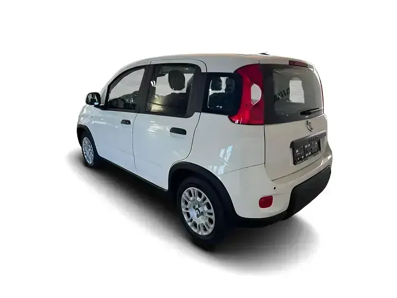Gebraucht Fiat Panda 70 PS (51 kW) 2024 Weiss Kleinwagen