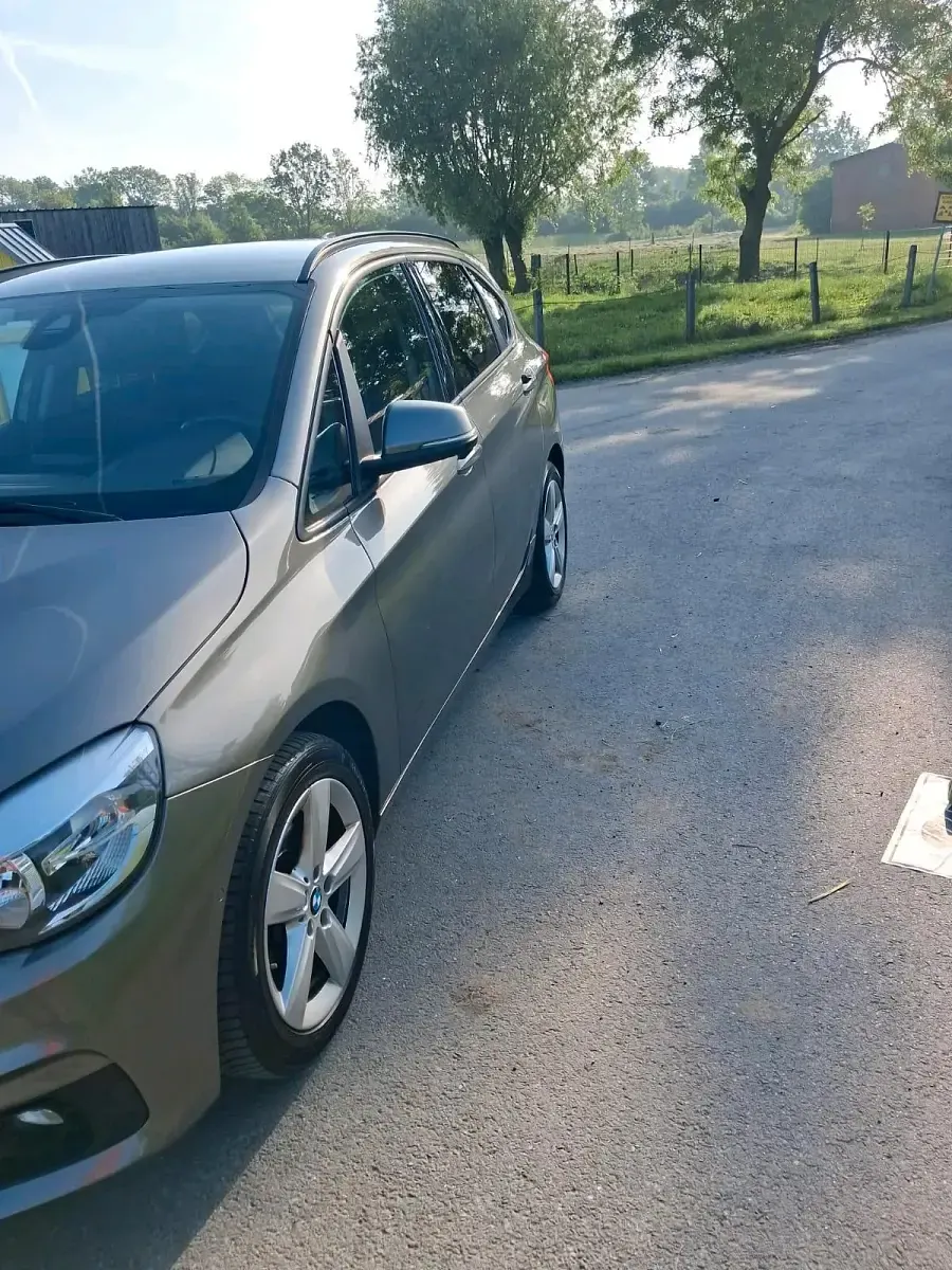 Gebraucht BMW 218 Active Tourer 136 PS (100 kW) 2017 Grau Van / Kleinbus