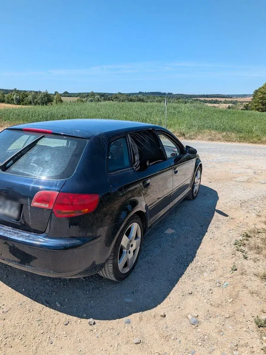 Gebraucht Audi A3 Ambiente 116 PS (85 kW) 2006 Blau Kleinwagen