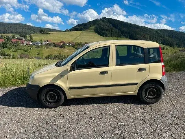 Gebraucht Fiat Panda Active 54 PS (39 kW) 2009 Gelb Kleinwagen